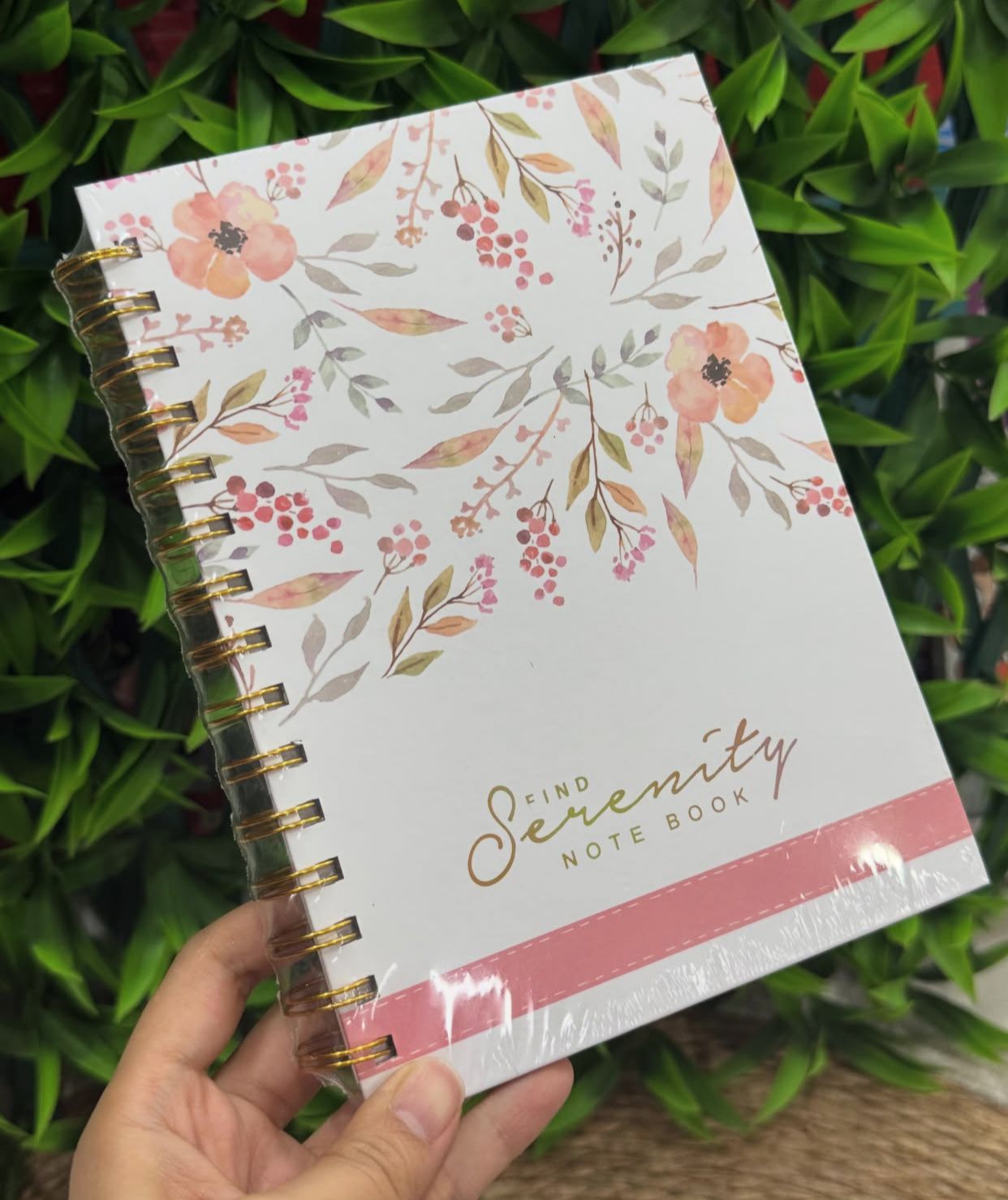 Libretas