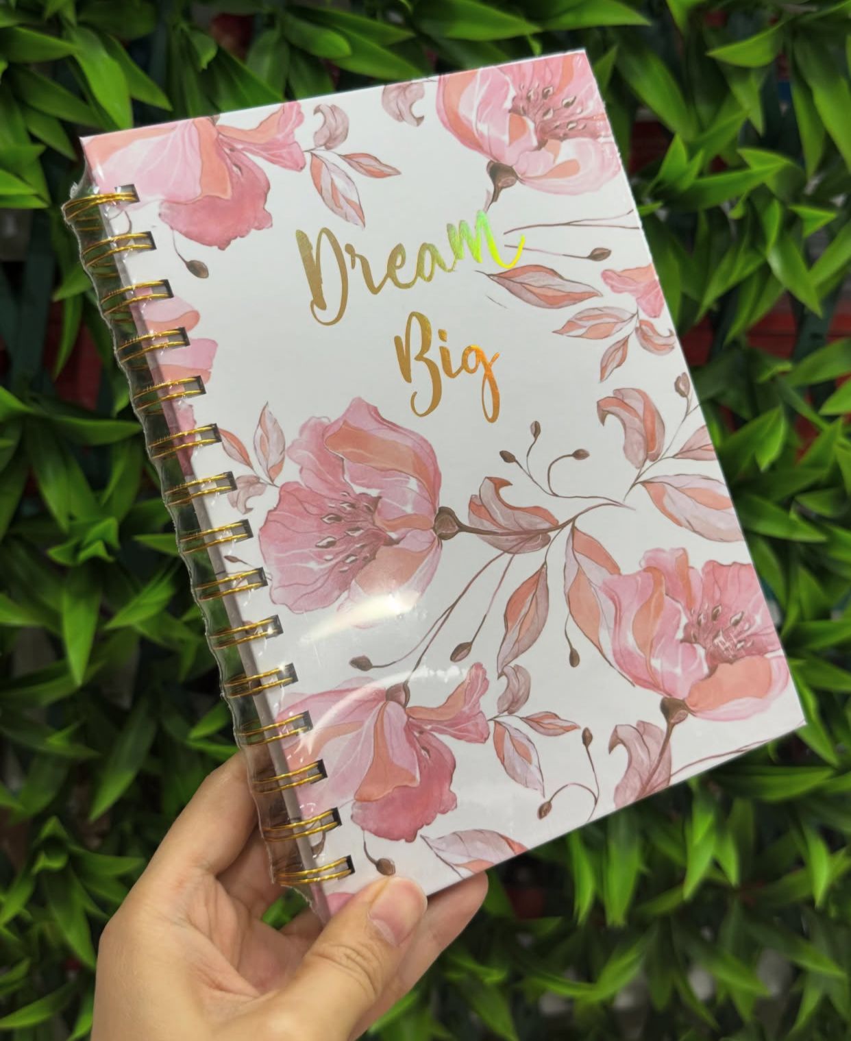 Libretas