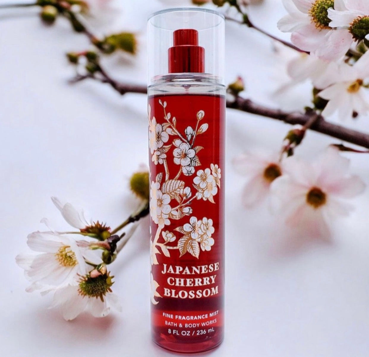 Splash Japanese Cherry Blossom